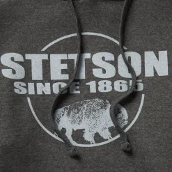 Bison Hoodie